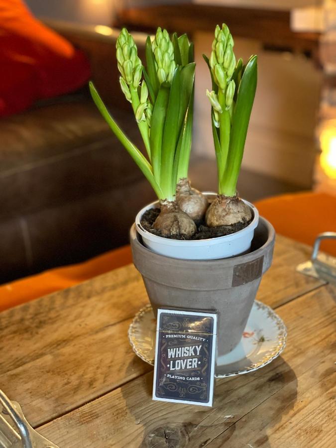 The Walled Garden At Cheshire Boutique Bathhouse Nantwich Ngoại thất bức ảnh